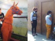 Huacho : Denuncian desaparición de menor de 8 años en Santa María