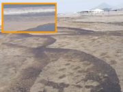 Aucallama : Playa Chacra y Mar afectada tras derrame de petróleo en Ventanilla