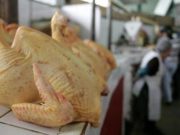 Precio del pollo cayó hasta 32% durante este mes de enero