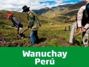 Bono Wanuchay: conoce si eres beneficiario del nuevo subsidio de S/ 350