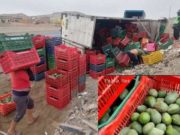 Huacho: camión cargado de palta se volcó cerca al Gobierno Regional