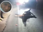 Hombre falleció tras ser atropellado y abandonado en Jesús del Valle