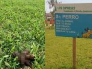 Huacho: vecinos colocan peculiar aviso dirigido irresponsables paseadores de perros