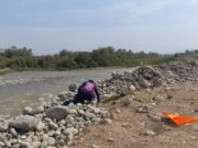 Aucallama : Se realizó limpieza del río Chancay – Huaral en el sector Montechico