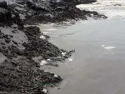 Derrame de petróleo : Comisión Ambiental de Huaral se pronunció tras inspección en Chancay y Aucallama