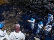 Repsol: “Esta semana estamos entrando en la etapa final de limpieza de las playas”