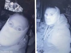 Delincuente se lleva más de 250 mil dólares en cartas Pokémon de una tienda de videojuegos