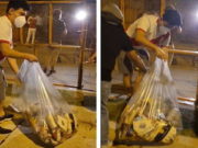 Hinchas peruanos limpian las calles tras realizar banderazo