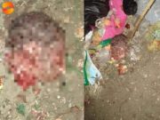 Huancayo: hallan cabeza de bebé en un montículo de basura