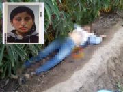 Cañete: Hallan cadáver de mujer escondido entre terrenos de cultivo