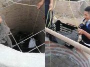 Aucallama: personal de Serenazgo logró rescatar a patito que cayó a pozo en San José