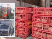 Hualmay: Hombre compró pollos para una pollada y se fue sin pagar