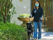 China: Voluntarios tratan de salvar a mascotas encerradas por confinamiento en Shanghái