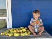 Redes: Niño de dos años pidió 31 hamburguesas con el celular desbloqueado de su mamá