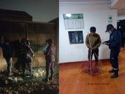 Chancay: detienen a dos presuntos «roba cables» en el sector de Santa Rosa