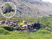 Hualmay: retiran guaridas de sujetos de mal vivir que se instalaron en humedal