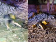Hombre fue arrollado por un tráiler mientras dormía debajo del vehículo en Chacra y Mar