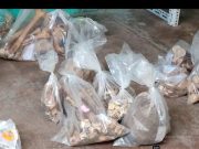 Realizan rescate Arqueológico de importantes piezas en terreno que será para construir hospital en Peralvillo