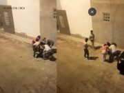 Vecinos denuncian que pitbull atacó a perrito y lo dejó al borde de la muerte en Fonavi (VIDEO)