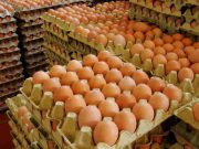 Producción de huevos en el Perú estaría cayendo un 5 %