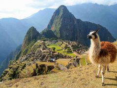 Machu Picchu nominado al «ÓSCAR DEL TURISMO»: conoce como votar para que sea atracción turística líder en Sudamérica