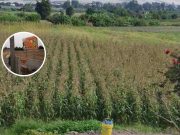 Huaral ha perdido más de 3 mil hectáreas de tierras de cultivo y la cifra sigue en aumento