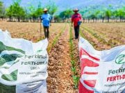Agro rural: ¿Cuántos agricultores recibirán la urea que entregará el Gobierno?