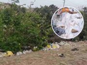 Ancón: hallan restos humanos en zona desolada cerca a la Panamericana Norte