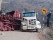 Huánuco: Tráiler que transportaba abono de Huaral se despistó y se salvó de caer al abismo