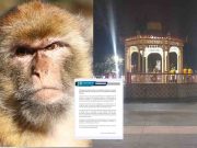 Se confirma el primer caso de la viruela del mono en el distrito de Chancay