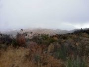 Sumbilca: «Las Sorprendentes Ruinas de Wancavirga»