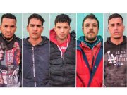 Caen «Los rápidos y furiosos» banda criminal de extranjeros dedicada a la extorsión y cobro de cupos en Huaral