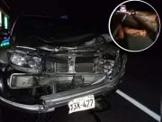 Abuela y su nieto de 4 años fallecieron tras ser atropellados por camioneta en Huarmey