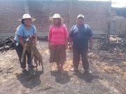 Supe: Incendio arrasó con viviendas y dejó en la calle a dos humildes familias de ciudad del Agro