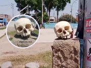 Abandonan cráneo humano en el Parque de la Aurora ¡Macabro!