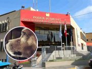 Juzgado de Huaura dicta dos años y seis meses de prisión suspendida a sujeto que mató a can por meterse a su casa