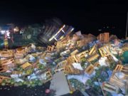 Chancay: Tráiler cargado de mangos se despistó y terminó con toda su carga regada en la pista