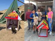 Regidora Alexandra Reyes convirtió sus carteles de campaña electoral en casitas para mascotas