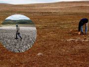 Bono sequía: Conoce aquí los requisitos para poder acceder a este subsidio del Midagri