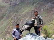 Yauyos : Majestuoso cóndor fue liberado en la reserva pasajística Nor Yauyos Cochas
