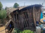 Aucallama: Familia palpeña a punto de perder su casa tras caída de huaico, necesitan ayuda