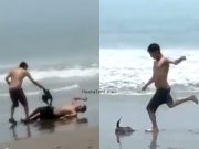 Huacho: Jóvenes en estado de ebriedad maltrataron a pelícano que descansaba en la Playa Chorrillos