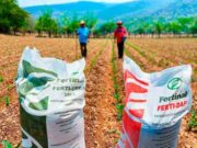 Bono para agricultores: LINK para consultar si eres beneficiario de los S/ 2 mil 350 soles