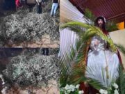 Huaralinos se alistan para la celebración de Domingo de Ramos: conoce aquí la programación completa
