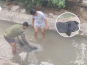 Sayán: Hallan cadáver de bebé flotando en canal de regadío en Irrigación Santa Rosa