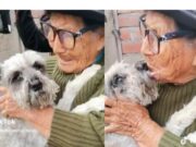 ¡Apareció Raylu! Abuelita de 103 años tuvo emotivo reencuentro con su perrito