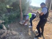 Ica: Bebé recién nacida fue abandonada y fue hallada en una caja