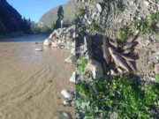 Huancayo: relave minero cayó al río Opamayo y mató a decenas de truchas