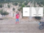 Huaral declarado en estado de emergencia ante posible llegada del fenómeno del niño