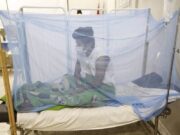 A 232 ascienden las muertes y reportan más de 130.000 casos de dengue en todo el país